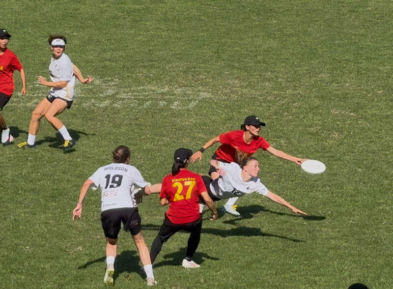 团队飞盘项 团队飞盘项